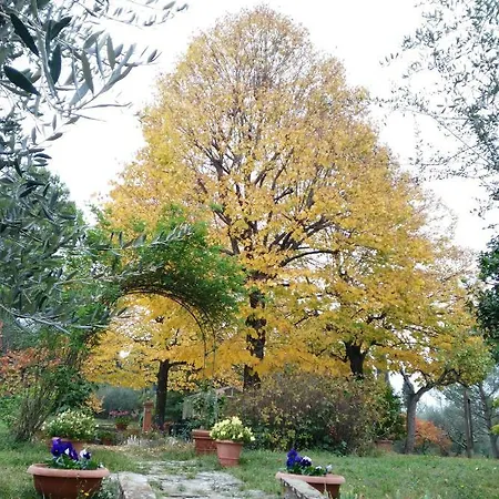 Apartment Il Salone, Bel Monolocale In Campagna Florence